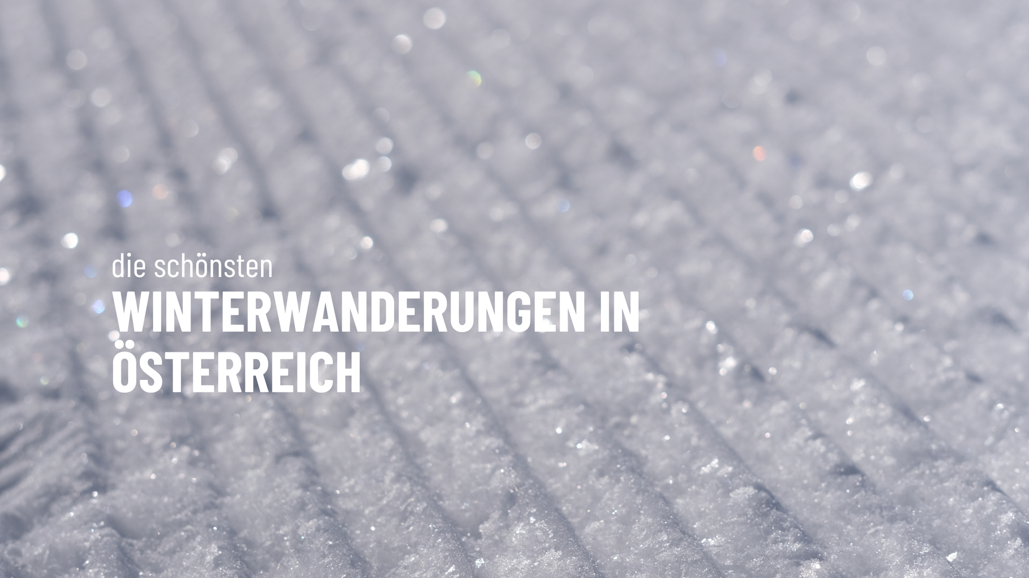 Die schönsten Winterwanderungen in Österreich