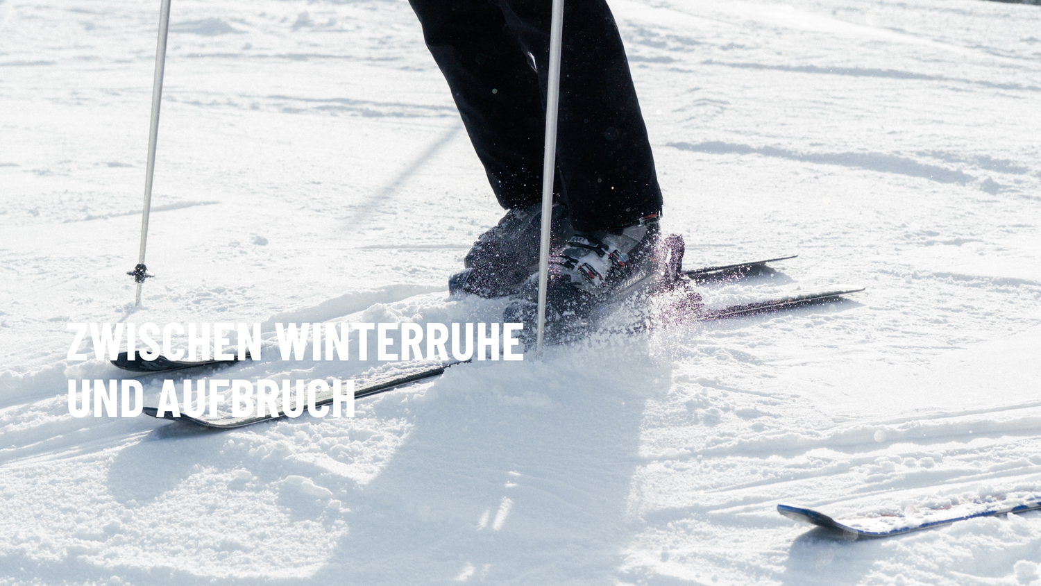 Zwischen Winterruhe und Aufbruch