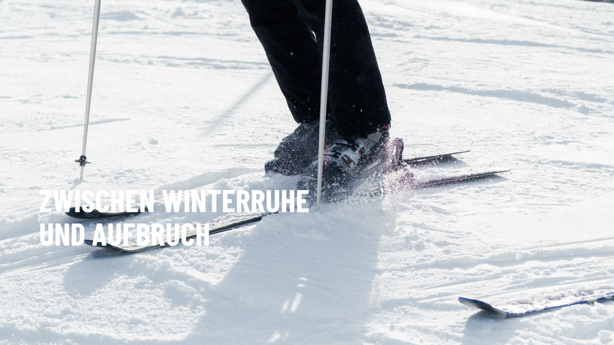 Zwischen Winterruhe und Aufbruch